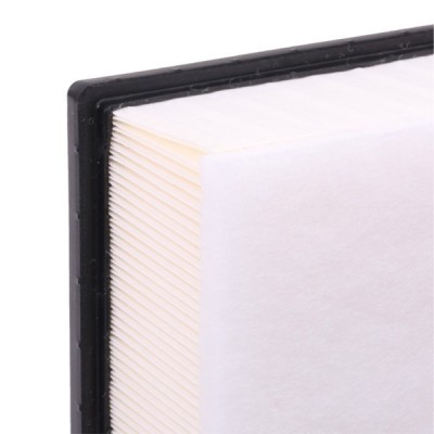 Air Filter RIDEX 8A0401 8A0401 - photo 6