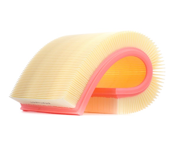 Air Filter RIDEX 8A0361 8A0361 - photo 1