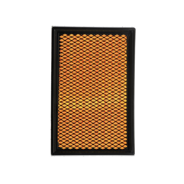 Air Filter RIDEX 8A0046P 8A0046P - photo 1