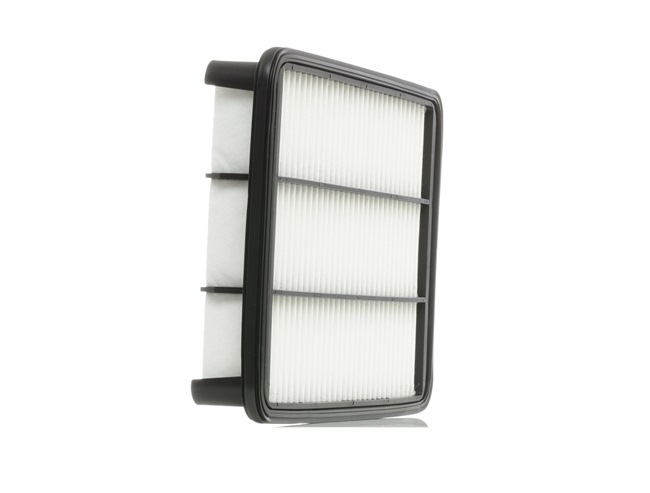 Air Filter RIDEX 8A0319 8A0319 - photo 1