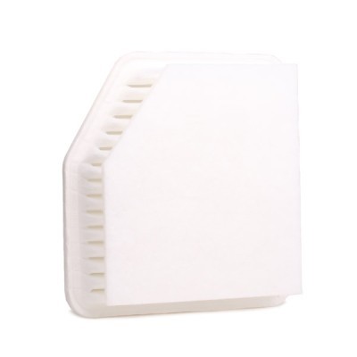 Air Filter RIDEX 8A0163 8A0163 - photo 4