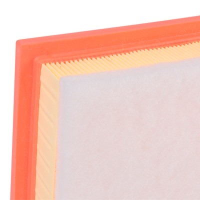 Air Filter RIDEX 8A0019 8A0019 - photo 5