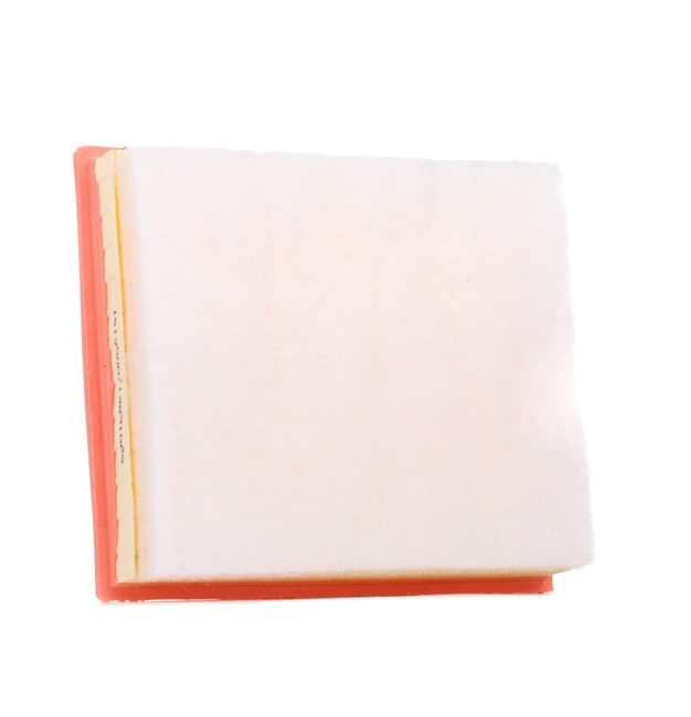 Air Filter RIDEX 8A0611 8A0611 - photo 1