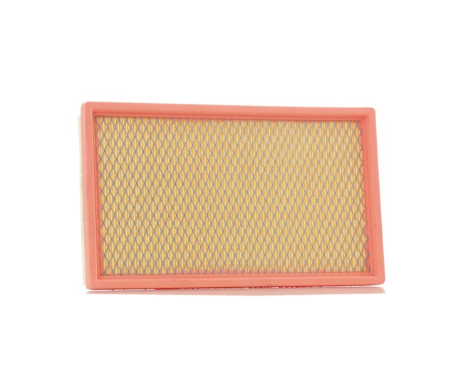 Air Filter RIDEX 8A0756 8A0756 - photo 1