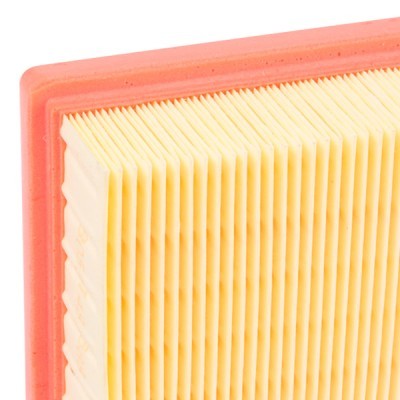 Air Filter RIDEX 8A0285 8A0285 - photo 5