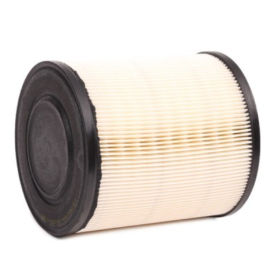 Air Filter RIDEX 8A0146 8A0146 - photo 5