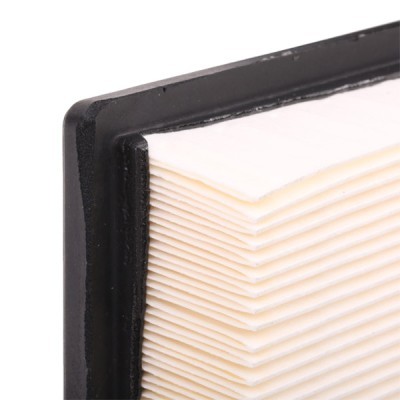 Air Filter RIDEX 8A0109 8A0109 - photo 6