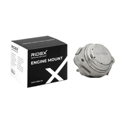 Engine Mounting RIDEX 247E0440 247E0440 - photo 5