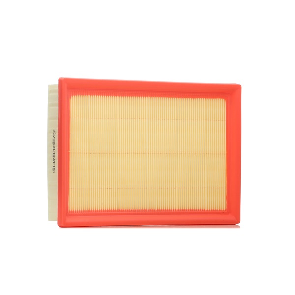 Air Filter RIDEX 8A0376 8A0376 - photo 1