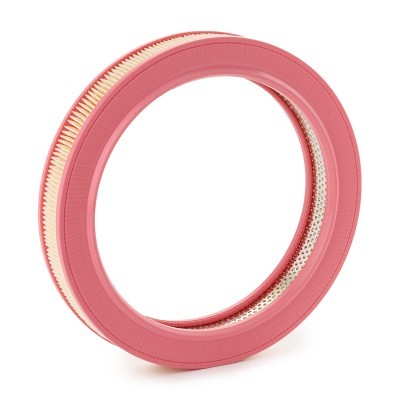 Air Filter RIDEX 8A0683 8A0683 - photo 3