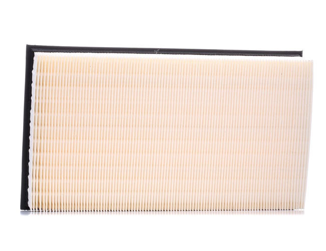 Air Filter RIDEX 8A0041 8A0041 - photo 1