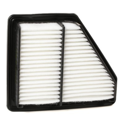 Air Filter RIDEX 8A0406 8A0406 - photo 3
