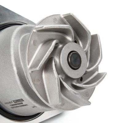 Water Pump, Engine Cooling RIDEX 1260W0256P 1260W0256P - photo 5