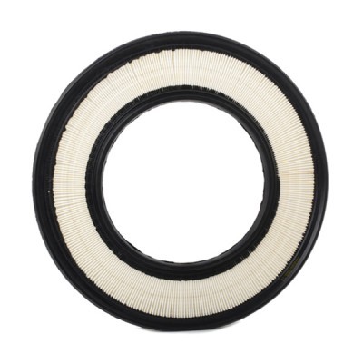 Air Filter RIDEX 8A0498 8A0498 - photo 3