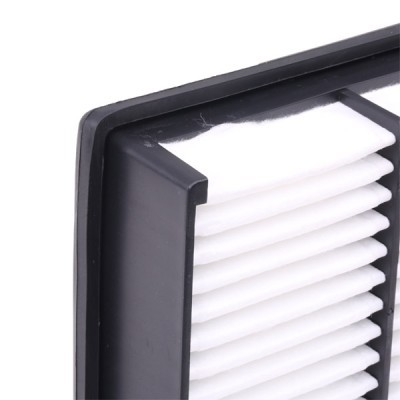 Air Filter RIDEX 8A0142 8A0142 - photo 6