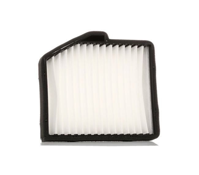 Cabin Air Filter RIDEX 424I0179 424I0179 - photo 1