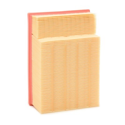 Air Filter RIDEX 8A0673 8A0673 - photo 3