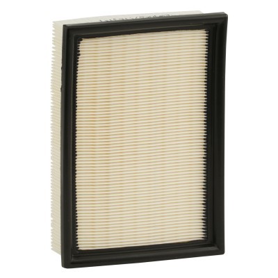 Air Filter RIDEX 8A0078 8A0078 - photo 5