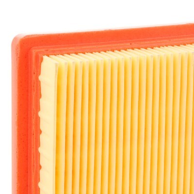 Air Filter RIDEX 8A0421 8A0421 - photo 5