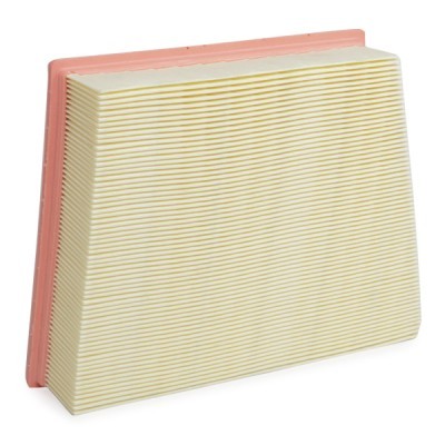 Air Filter RIDEX 8A0866 8A0866 - photo 4