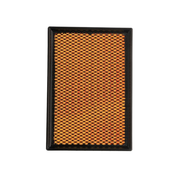 Air Filter RIDEX 8A0401P 8A0401P - photo 1