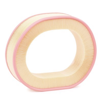 Air Filter RIDEX 8A0368 8A0368 - photo 3