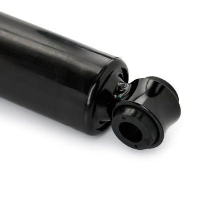 Shock Absorber RIDEX 854S18464 854S18464 - photo 6
