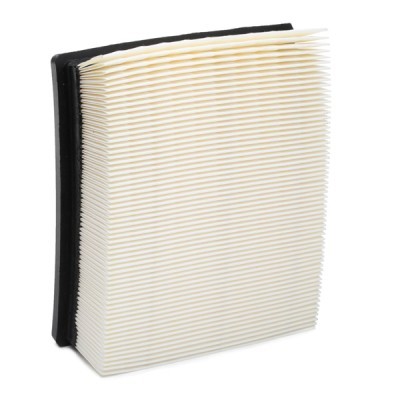 Air Filter RIDEX 8A0380 8A0380 - photo 4