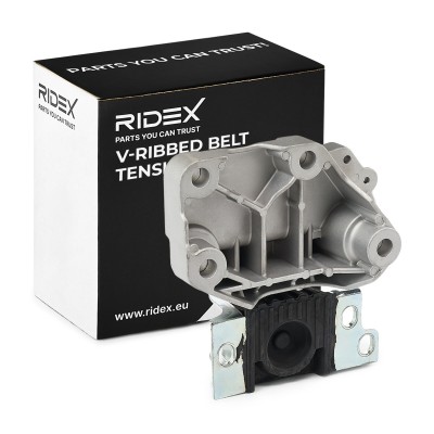 Engine Mounting RIDEX 247E0914 247E0914 - photo 2