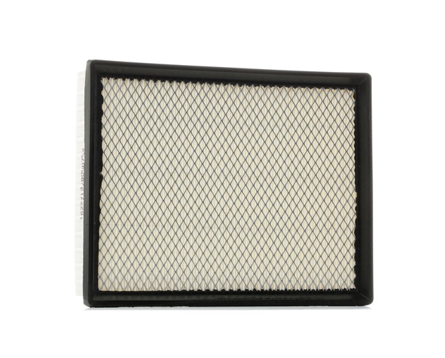 Air Filter RIDEX 8A0174 8A0174 - photo 1