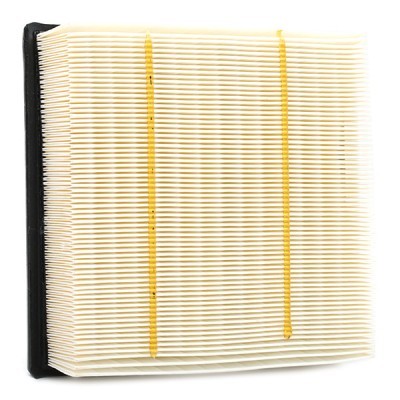 Air Filter RIDEX 8A0381 8A0381 - photo 5