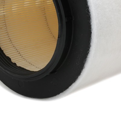 Air Filter RIDEX 8A0145 8A0145 - photo 6