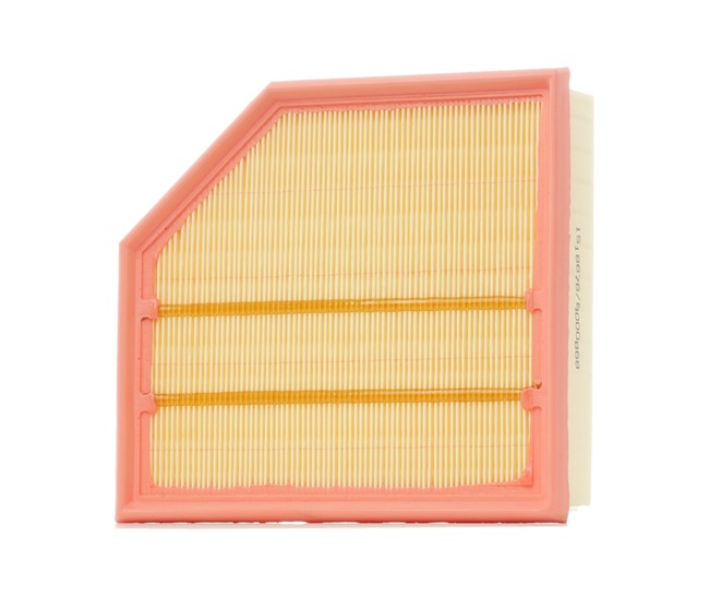 Air Filter RIDEX 8A0155 8A0155 - photo 1