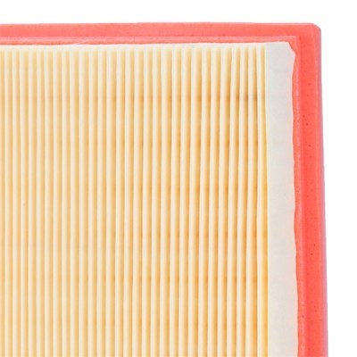 Air Filter RIDEX 8A0450 8A0450 - photo 5