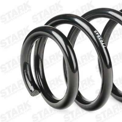 Suspension Spring Stark SKCS-0040139 SKCS-0040139 - photo 5