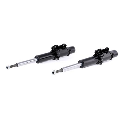 Shock Absorber RIDEX 854S2198 854S2198 - photo 4