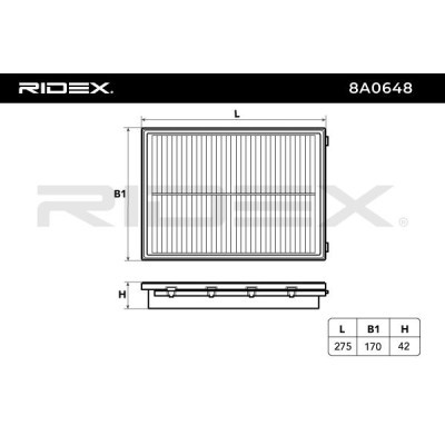Air Filter RIDEX 8A0648 8A0648 - photo 6