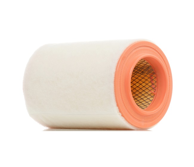 Air Filter RIDEX 8A0340 8A0340 - photo 1