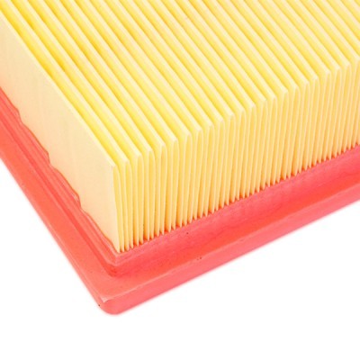 Air Filter RIDEX 8A0169 8A0169 - photo 5