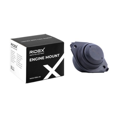 Engine Mounting RIDEX 247E0286 247E0286 - photo 5