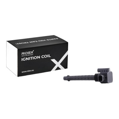 Ignition Coil RIDEX 689C0390 689C0390 - photo 6