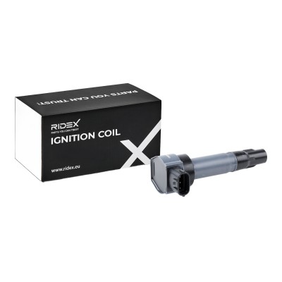 Ignition Coil RIDEX 689C0301 689C0301 - photo 7