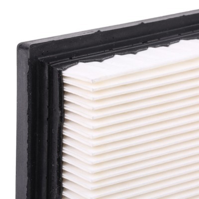 Air Filter RIDEX 8A0371 8A0371 - photo 6