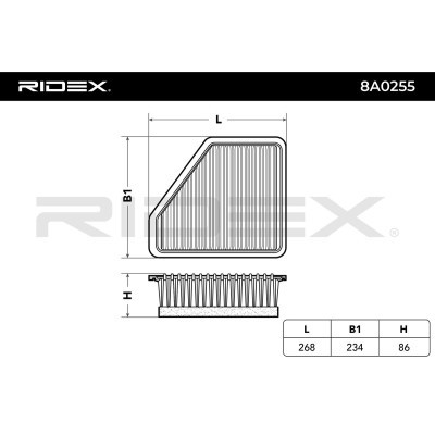 Air Filter RIDEX 8A0255 8A0255 - photo 5