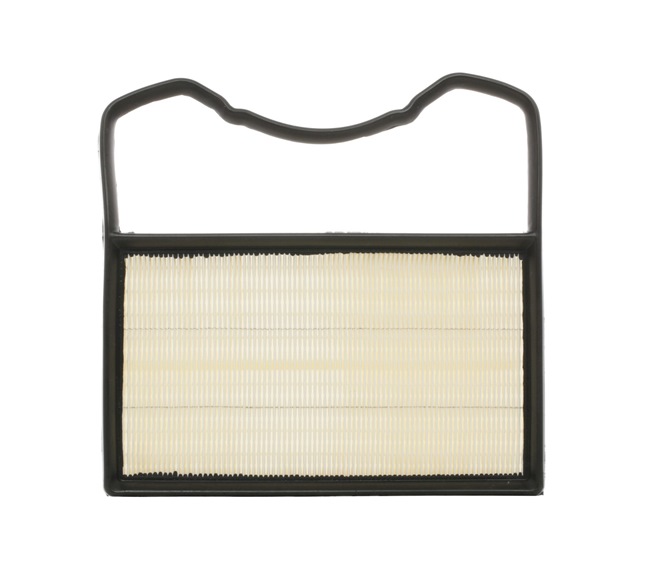Air Filter RIDEX 8A0286 8A0286 - photo 1