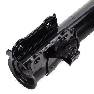 Shock Absorber RIDEX 854S1385 854S1385 - photo 6
