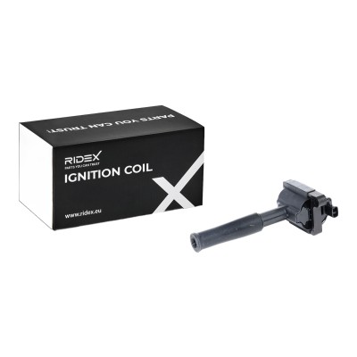 Ignition Coil RIDEX 689C0288 689C0288 - photo 6
