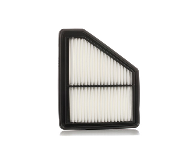 Air Filter RIDEX 8A0406 8A0406 - photo 1