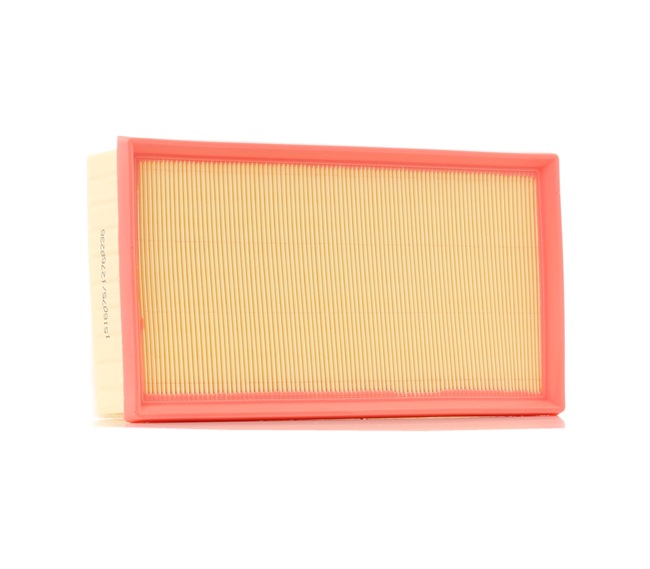 Air Filter RIDEX 8A0668 8A0668 - photo 1
