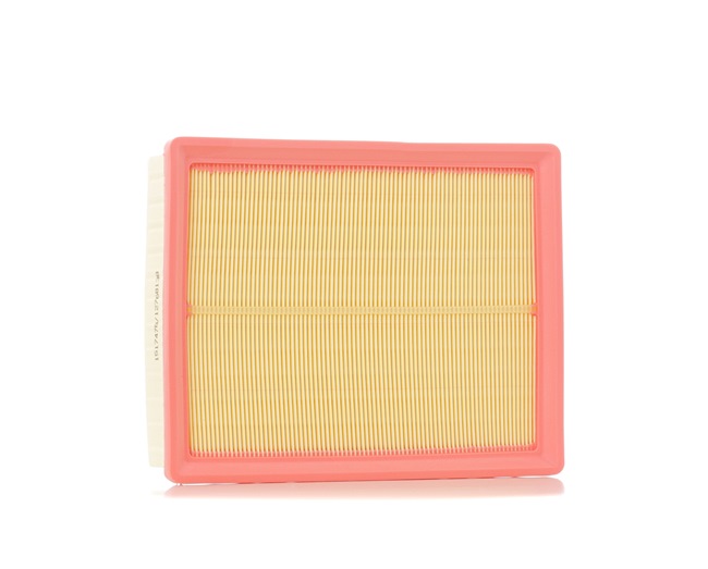 Air Filter RIDEX 8A0644 8A0644 - photo 1